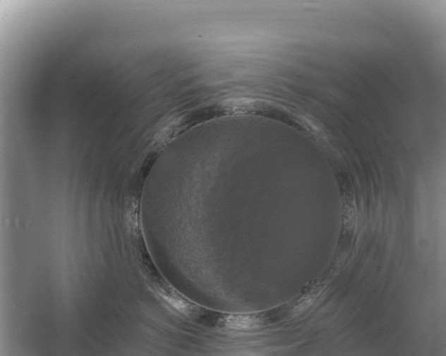 X0000058140766200509302019