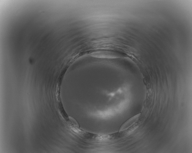 X0000058140767200509302019