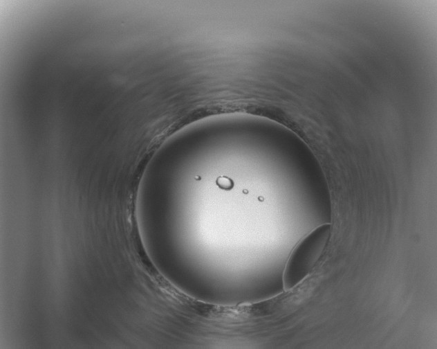 X0000058140768200509302019