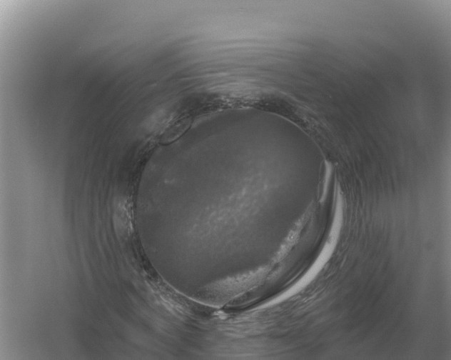 X0000058140772200509302018