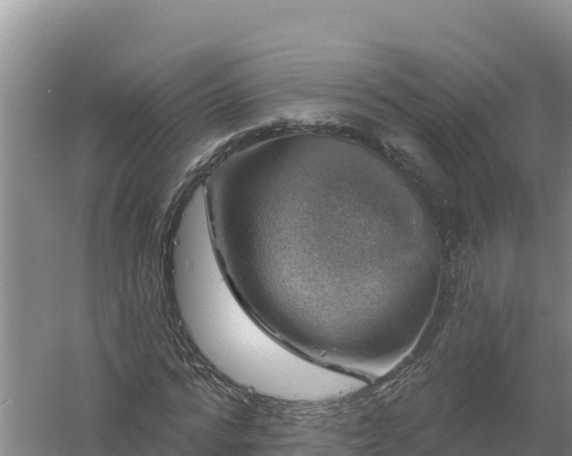 X0000058140776200509302018