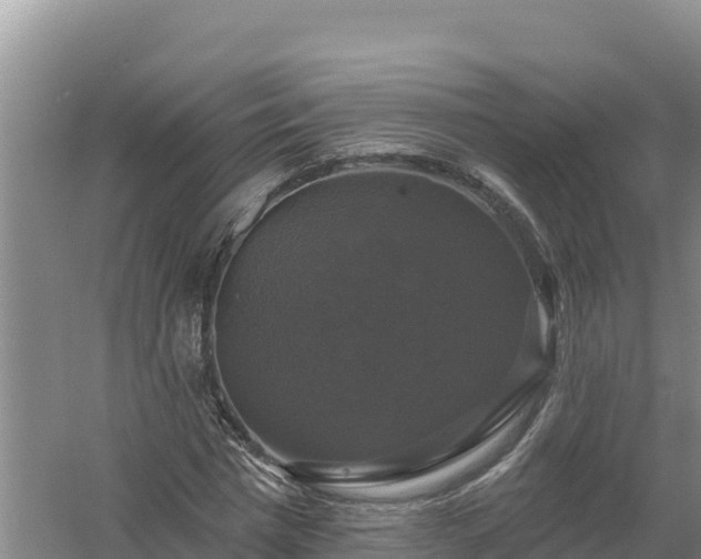 X0000058140777200509302018