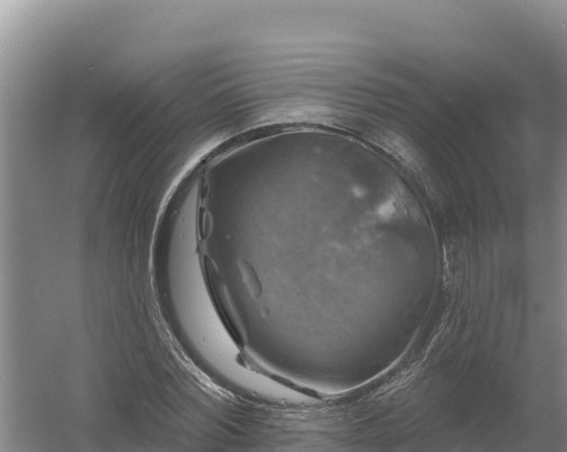 X0000058140780200509302018