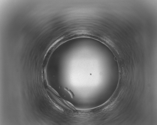 X0000058140782200509302018