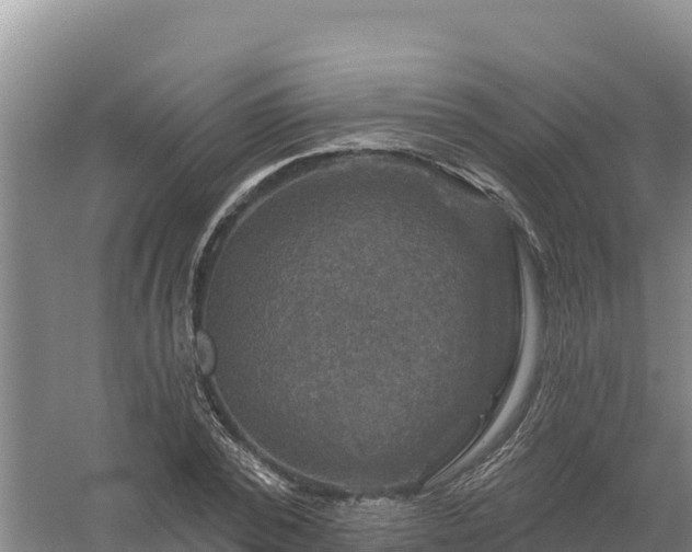 X0000058140784200509302018