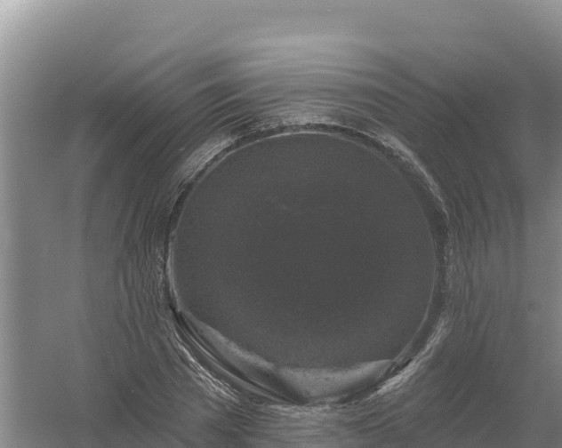 X0000058140785200509302018