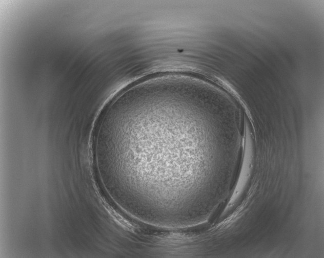 X0000058140787200509302018