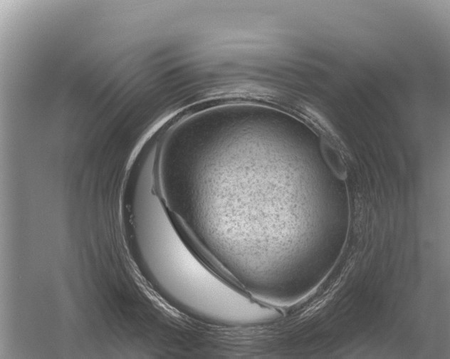 X0000058140788200509302017