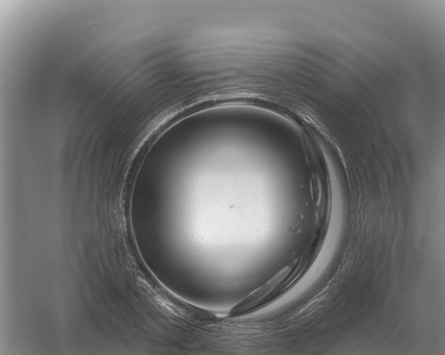 X0000058140789200509302017