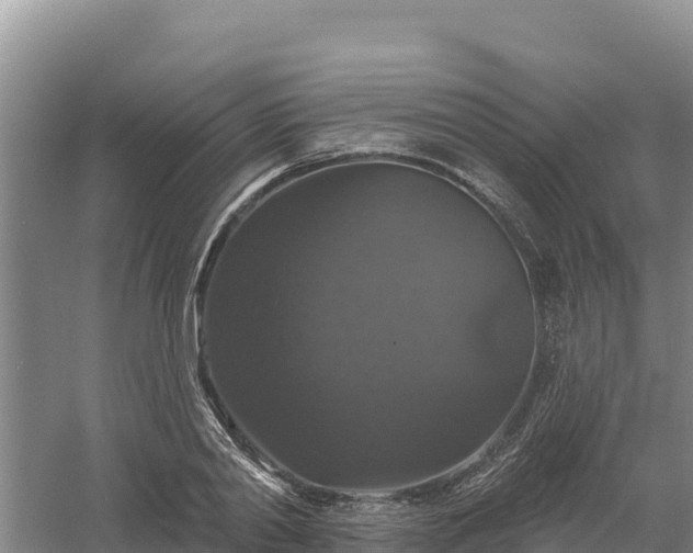 X0000058140790200509302017