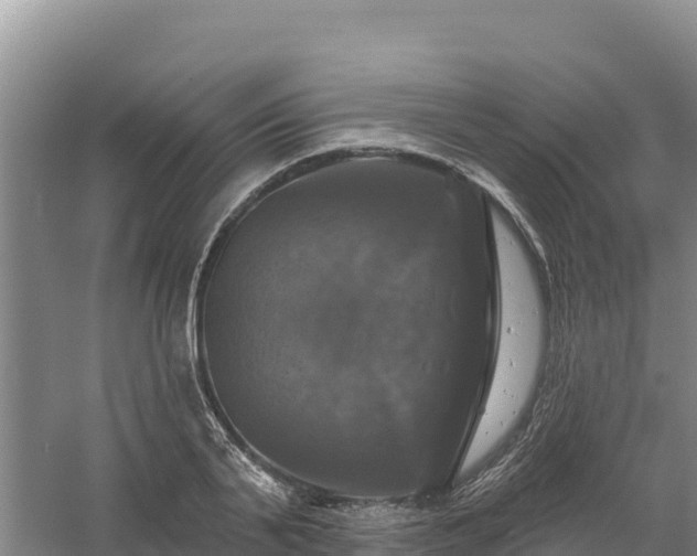 X0000058140791200509302017