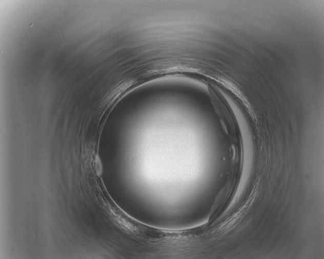 X0000058140793200509302017