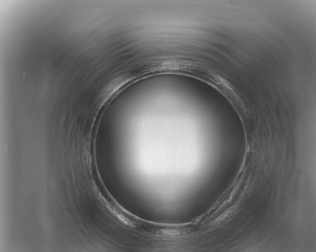 X0000058140794200509302017