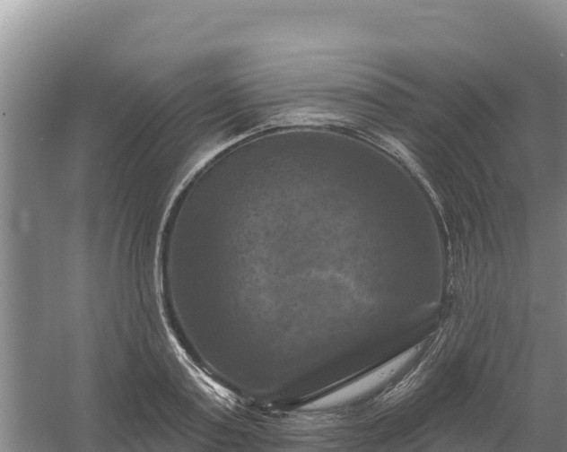 X0000058140795200509302017