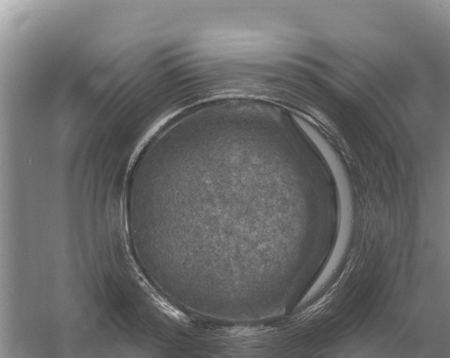 X0000058140796200509302017