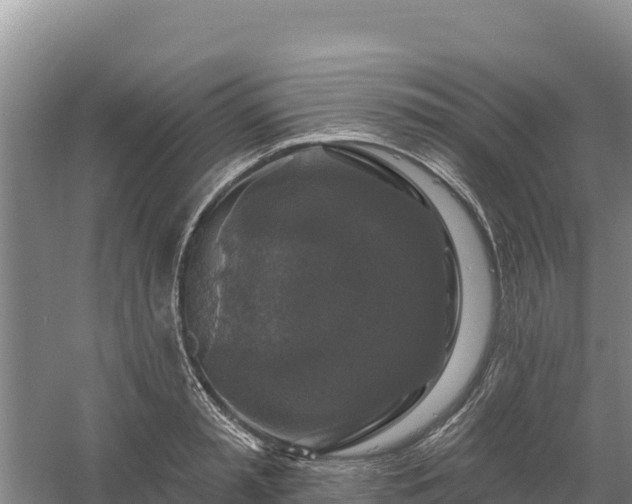 X0000058140797200509302017