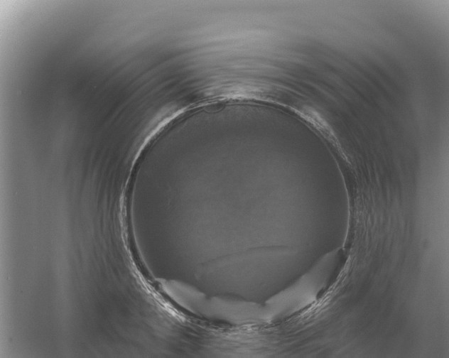 X0000058140798200509302017