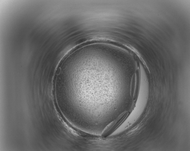 X0000058140799200509302017