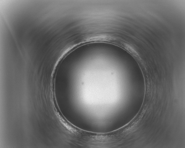 X0000058140800200509302017