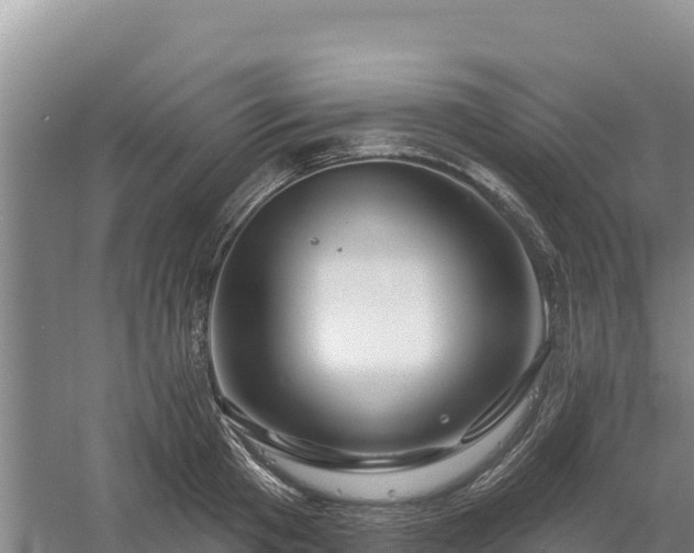 X0000058140801200509302017