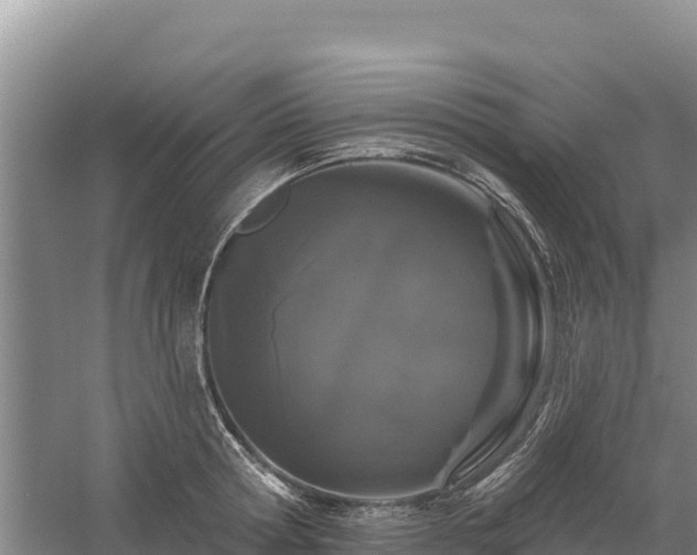 X0000058140802200509302017