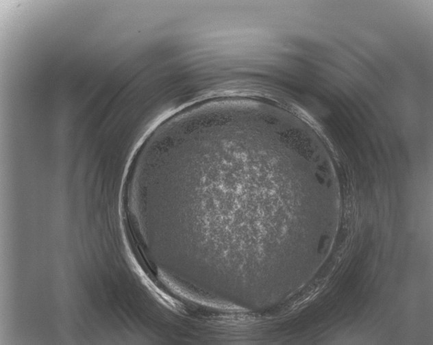 X0000058140803200509302017