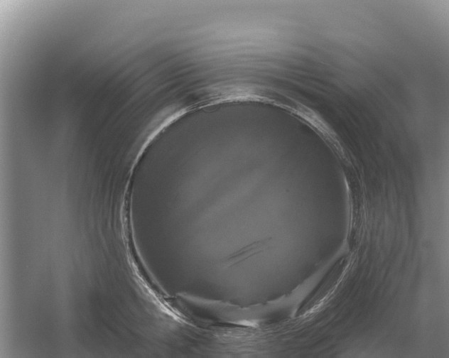 X0000058140806200509302017