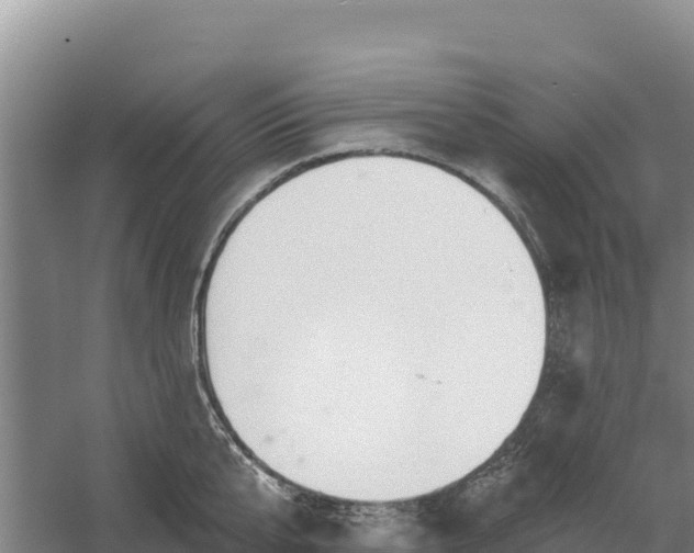 X0000058140807200509302017