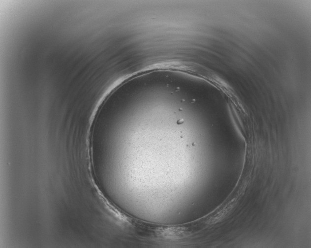 X0000058140808200509302017