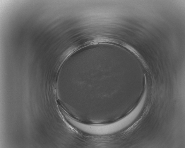 X0000058140809200509302017