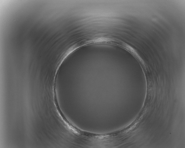 X0000058140810200509302017