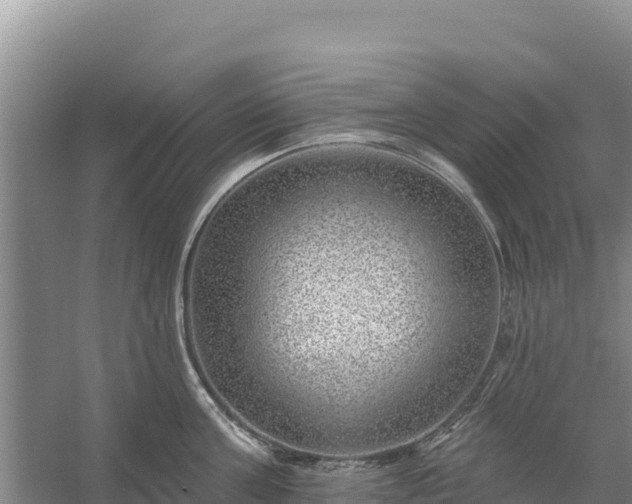 X0000058140811200509302017