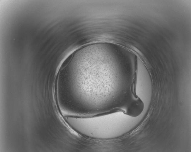 X0000058140812200509302017