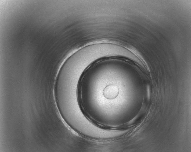 X0000058140813200509302017