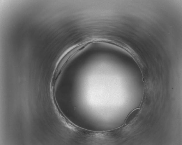 X0000058140814200509302017