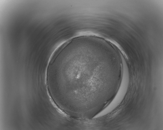 X0000058140815200509302017