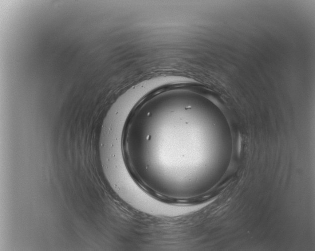 X0000058140818200509302016