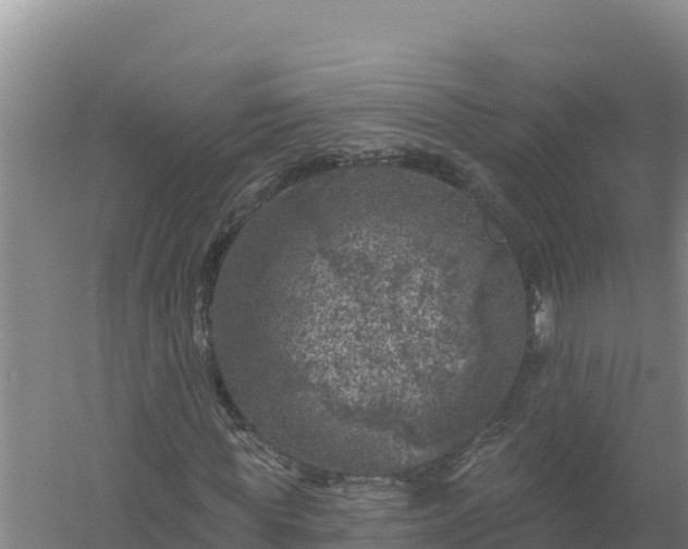 X0000058140819200509302016