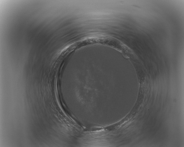 X0000058140822200509302016