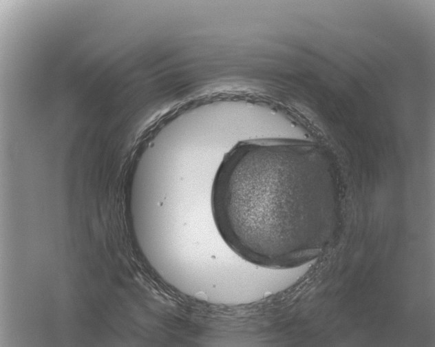 X0000058140824200509302016