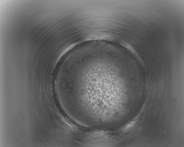 X0000058140826200509302016