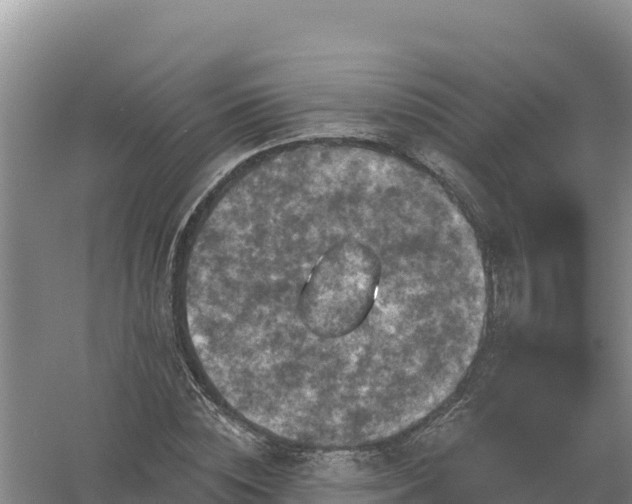 X0000058140828200509302016