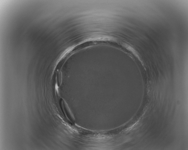 X0000058140829200509302016