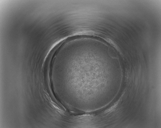 X0000058140830200509302016