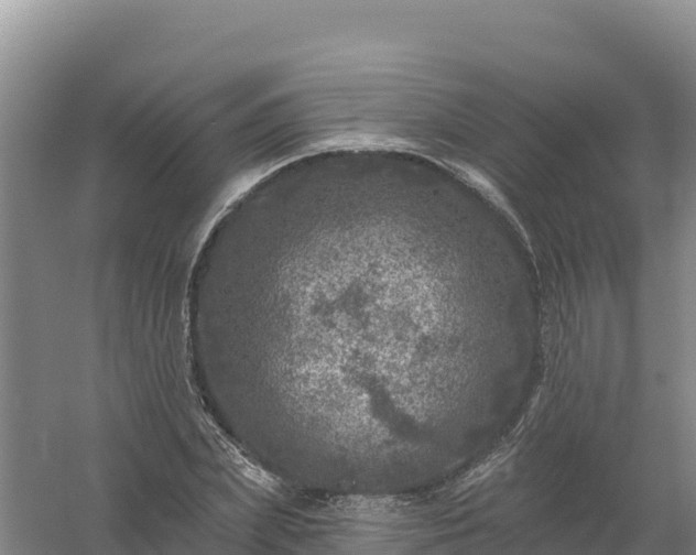 X0000058140831200509302016