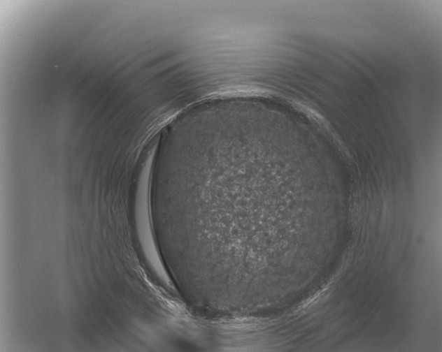 X0000058140833200509302016