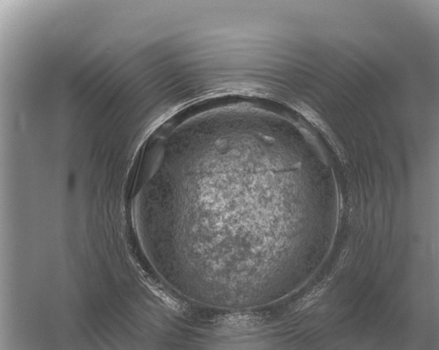 X0000058140834200509302016