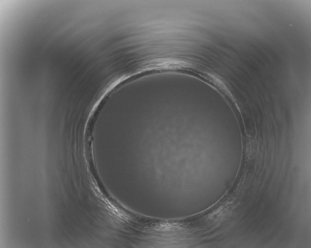 X0000058140835200509302016