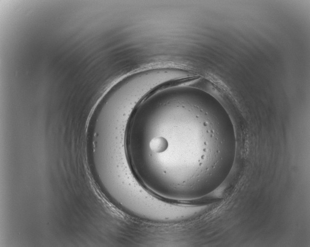 X0000058140836200509302017