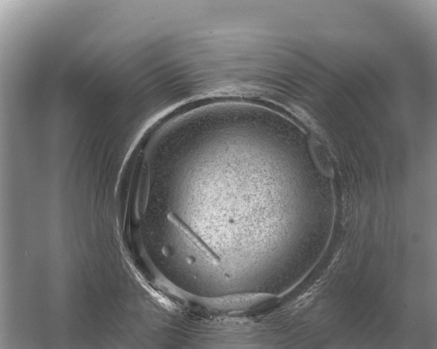 X0000058140838200509302017